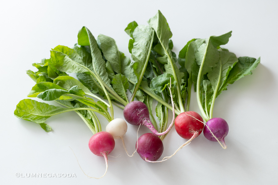 radish