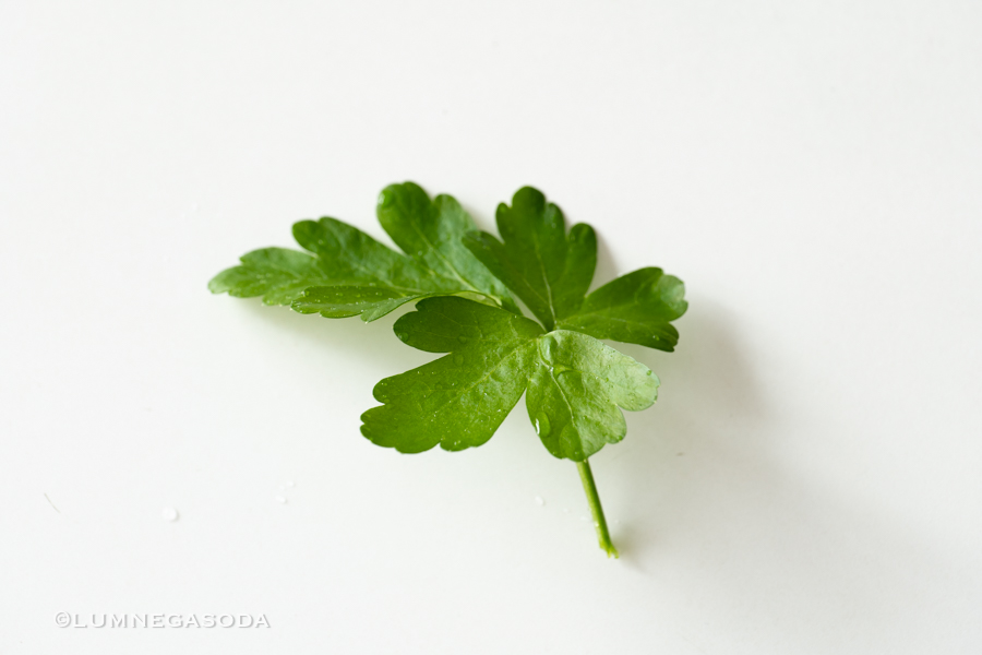 italian_parsley